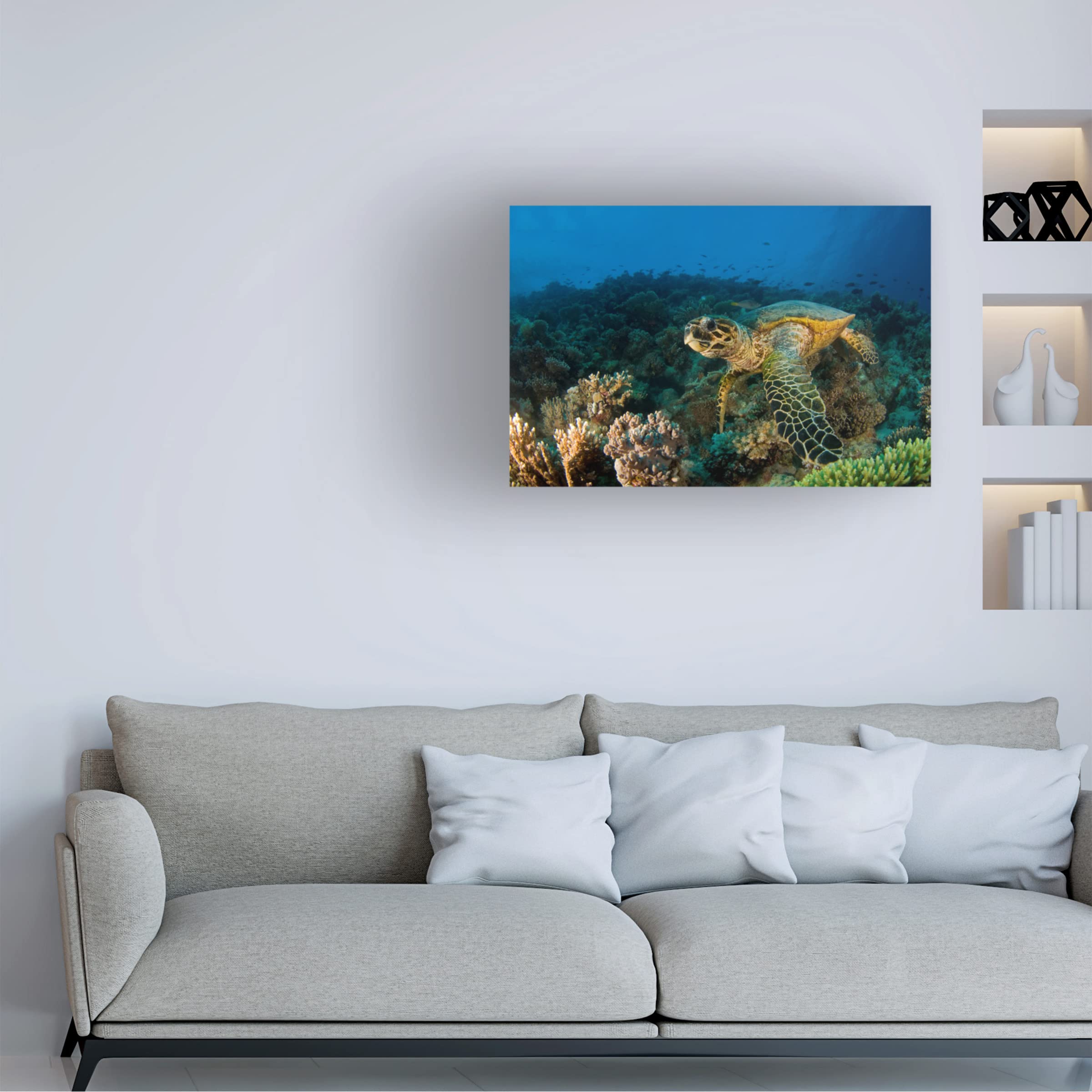 Ilan Ben Tov 'Hawksbill Turtle' Canvas Wall Art Print - Ocean Wildlife Decor for Beach House, Living Room & Office