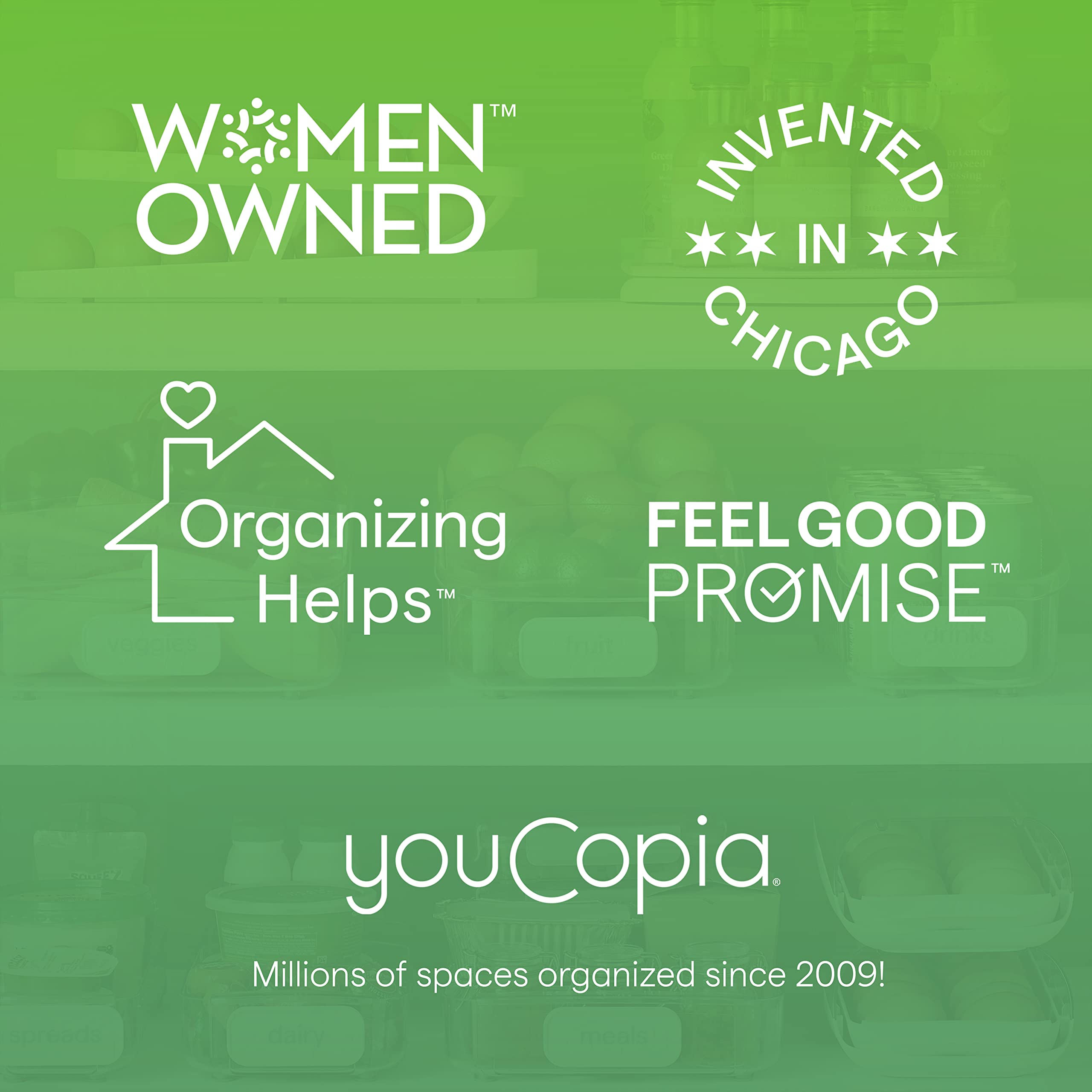 YouCopia RollOut Fridge Caddy - 6