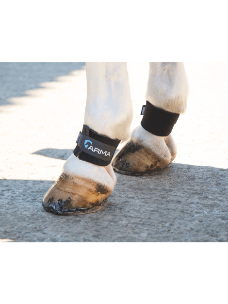 Shires Arma Pastern Wrap for Horses - Protective Leg Support for Riding, Training & Recovery - Breathable Neoprene Horse Boots for Injury Prevention & Joint Stability