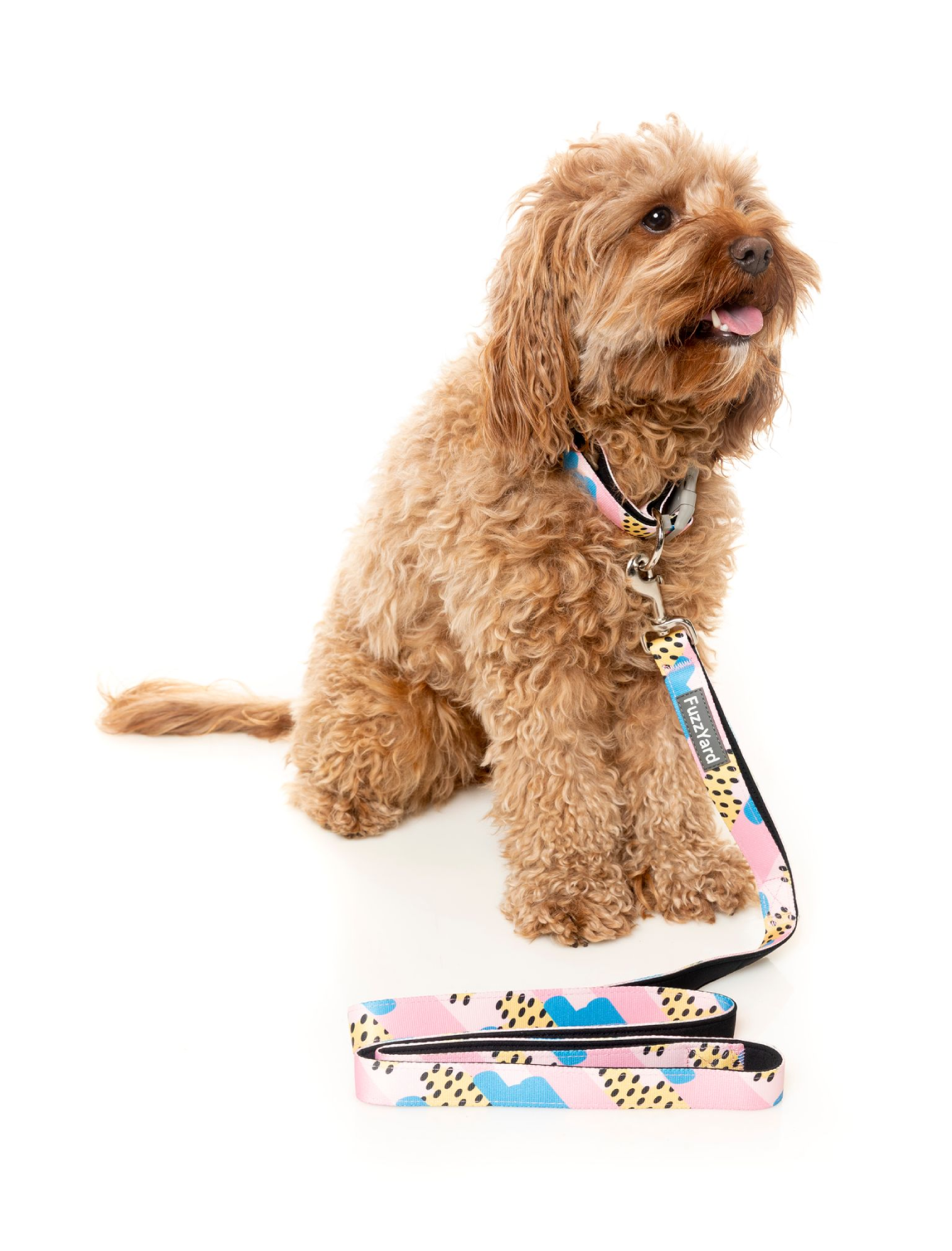 FuzzYard Jiggy Dog Leash - Durable & Adjustable Pet Lead for Small & Medium Dogs - Perfect for Walking, Training & Outdoor Adventures