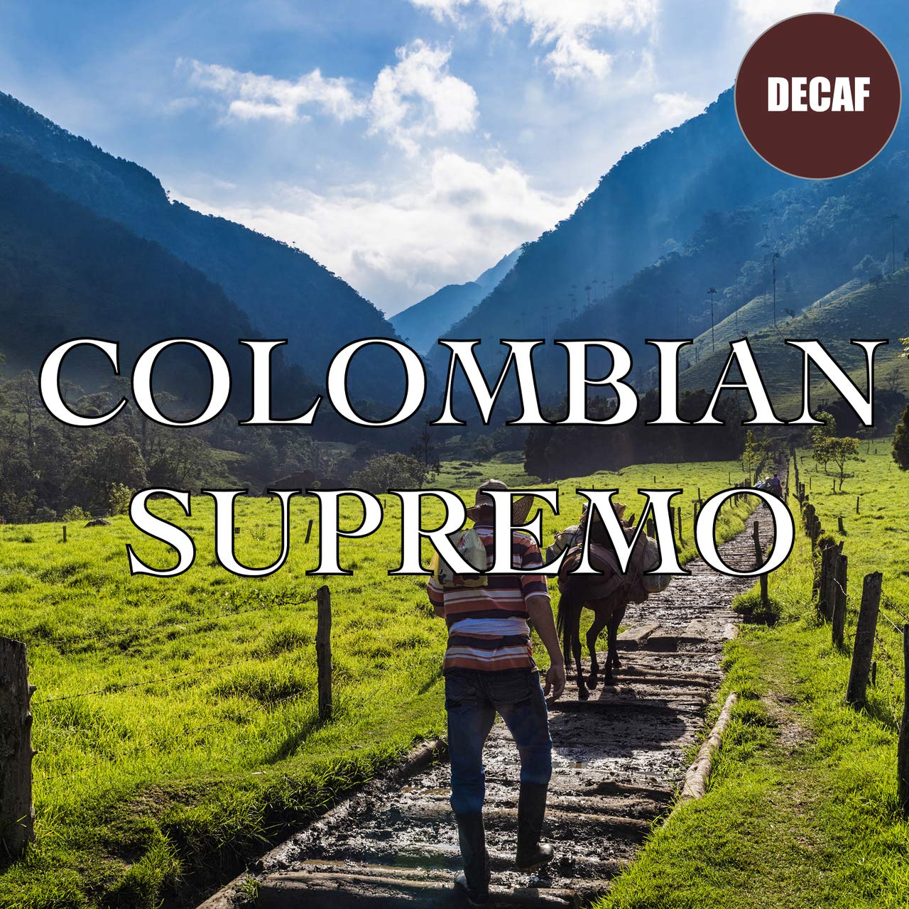 Premium Colombian Supremo Decaf Ground Coffee - Swiss Water Processed, Fair Trade Certified, Fresh Roasted 5 lb Bag - Perfect for Home Brewing, Office Use & Gifts