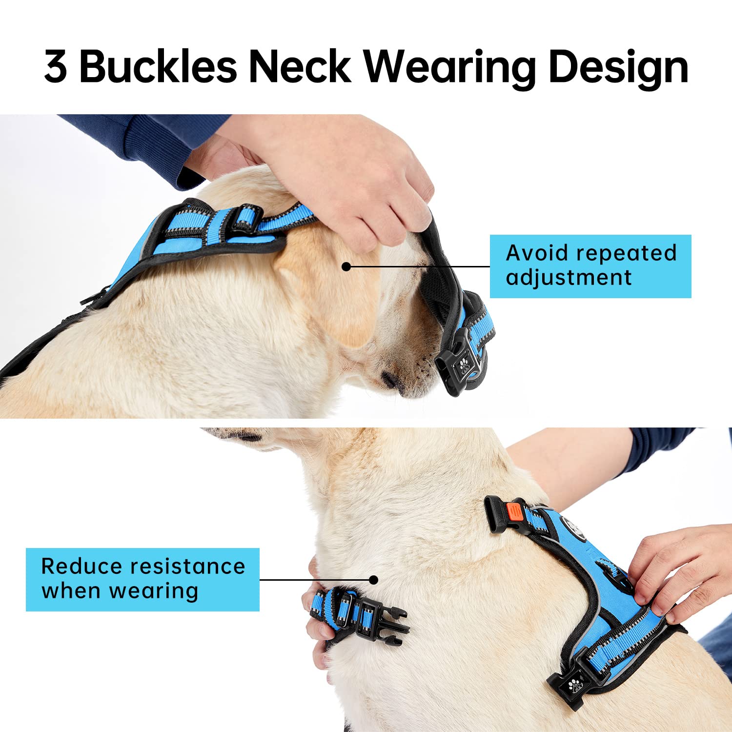 No Pull Dog Harness for Small Dogs - Adjustable Pet Vest with Leash, Safety Belt & Storage Strap - 360° Reflective Strips & Soft Handle (Blue, S) - Perfect for Walking, Training & Outdoor Adventures