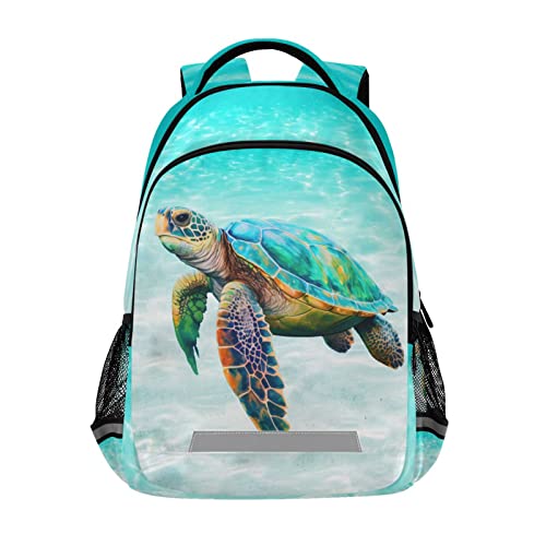 Sea Turtle