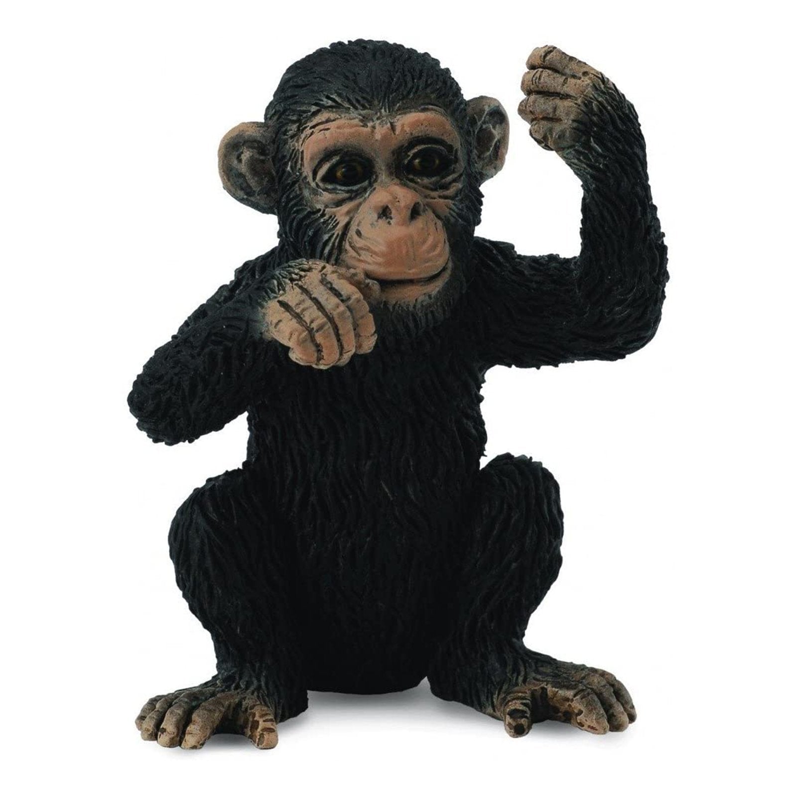 CollectA Chimpanzee Cub Thinking Animal Figure 88495 - Realistic Baby Chimp Toy for Kids, Educational Wildlife Figurine - Perfect for Safari-Themed Play, School Projects & Animal Collections