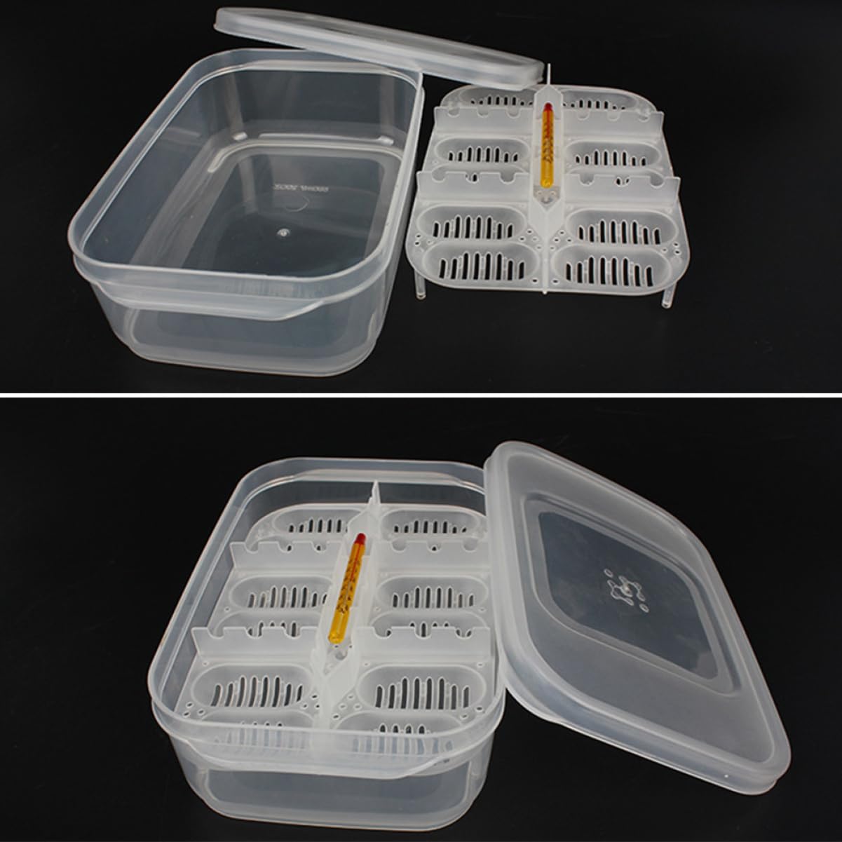 Angoily 3-Piece Reptile Egg Incubation Box Set - Observation Container for Snake & Lizard Eggs (Holds 12 Eggs) - Easy to Use Breeding Habitat for Pet Reptiles, Classroom Science Projects & Wildlife Observation