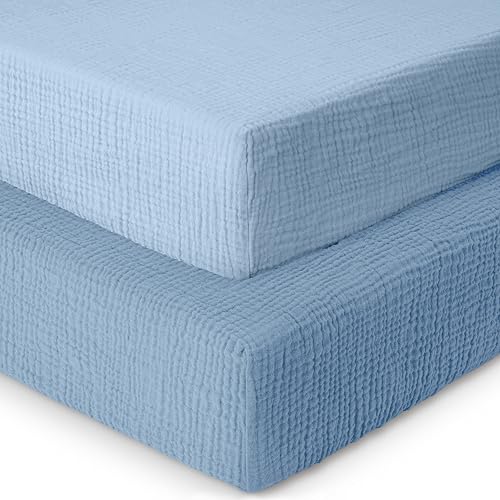 Blue/Light Blue