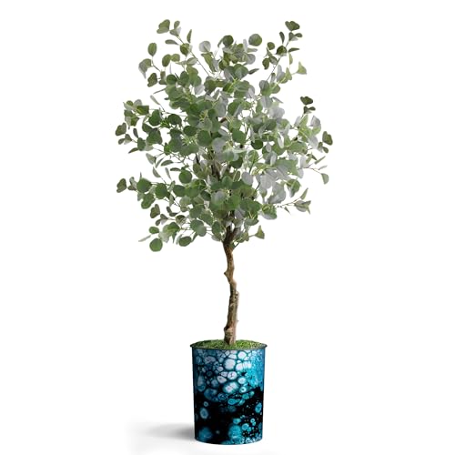 Modern Planter