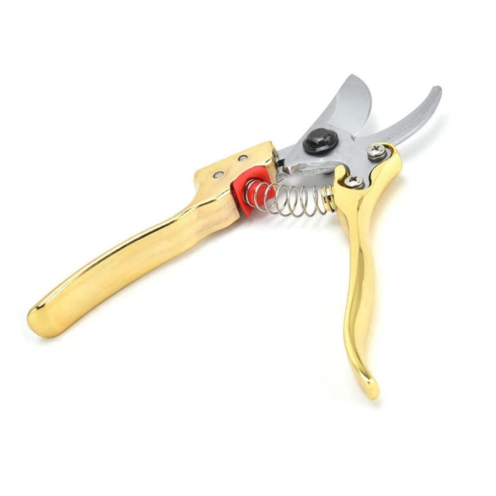 Premium Gardening Pruning Shears - Sharp Bypass Pruner for Branch Trimming, Home Garden, Floral Arrangement & Landscaping | Ergonomic Hand Tool for Easy Cutting & Pruning