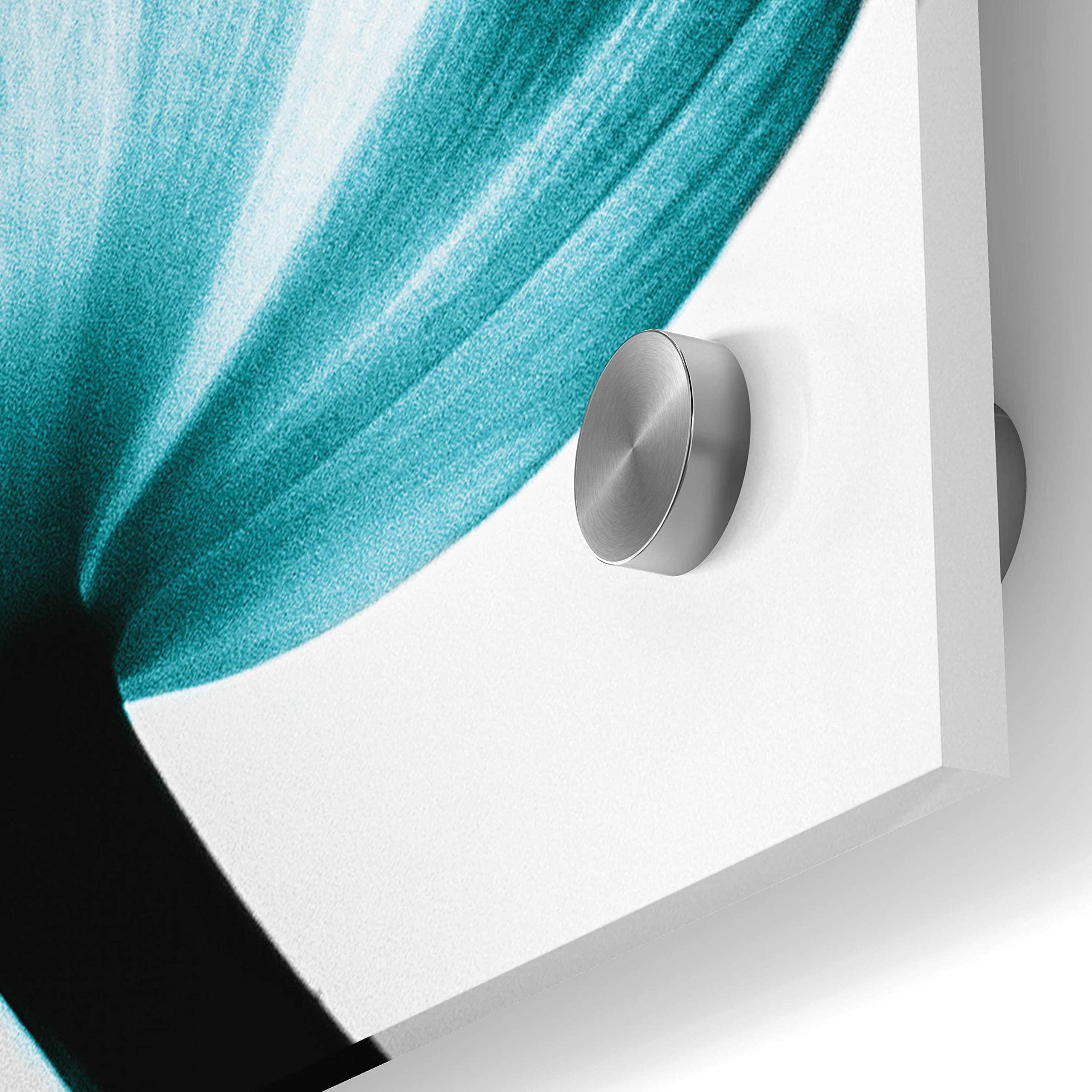 Debra Van Swearingen Translucent Tulips II Teal Acrylic Glass Wall Art - 36x36 Inches Modern Home Decor for Living Room, Bedroom & Office