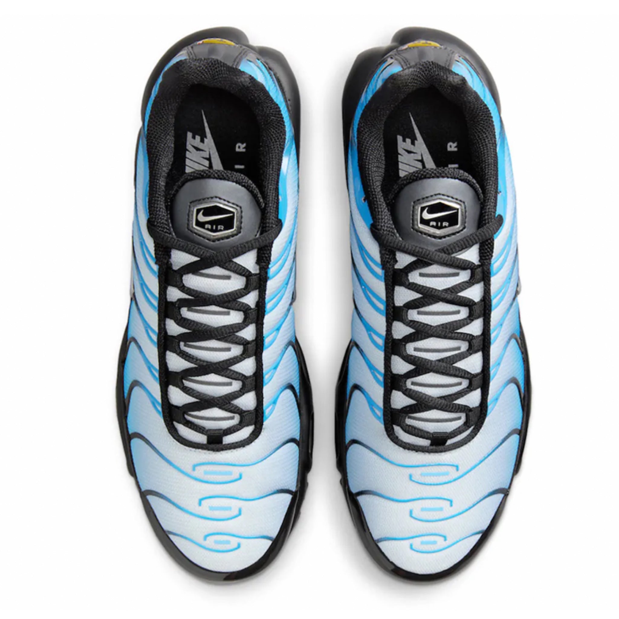 Nike Air Max Plus Running Shoes - Blue Gradient, Black & Metallic Silver for Men | Comfortable Athletic Sneakers for Jogging, Gym & Casual Wear