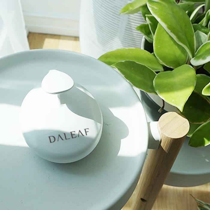 Daleaf Scalp Massager Shampoo Brush - Gentle Hair Care for Relaxation & Scalp Stimulation - Perfect for Showering, Bathing & Spa Days at Home