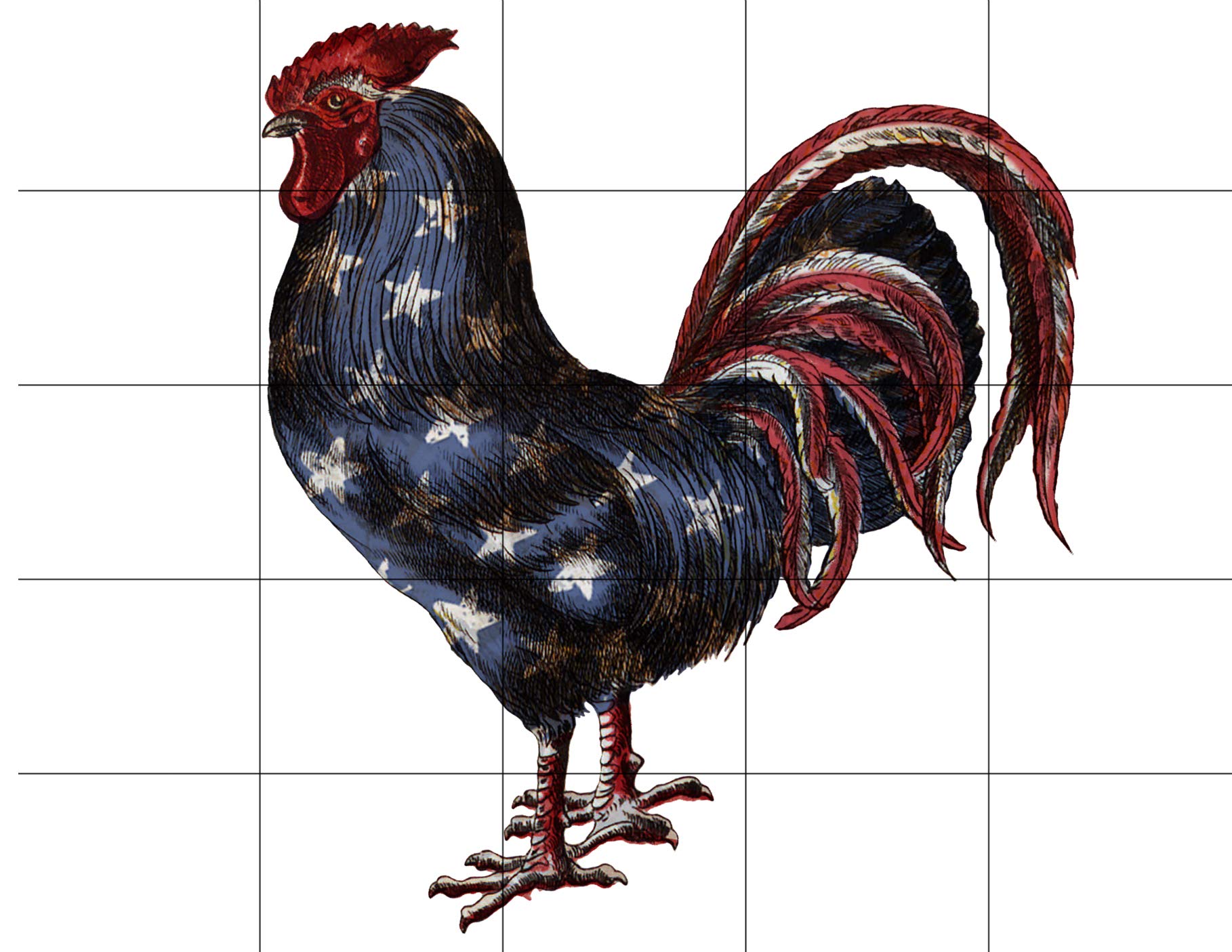 American Flag Rooster Sublimation Transfer Ready to Press - DIY Heat Transfer for T-Shirts (Adult & Kids Sizes) - Patriotic Custom Apparel Design for 4th of July, Memorial Day & Country-Themed Events