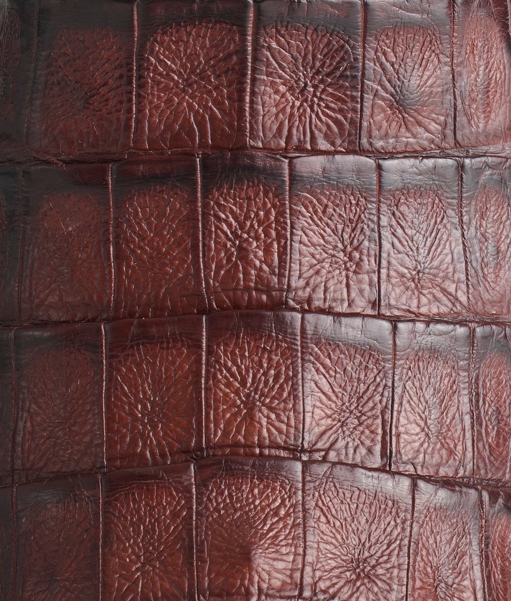 Premium Tulipano Chocolate Gifts - Delicious Belgian Chocolate for Valentine's Day, Birthdays & Special Occasions