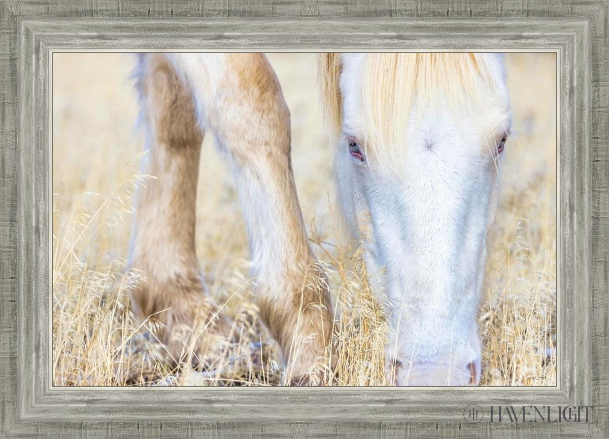 Dry Grass by Greg Sargent - Premium Handcrafted Home Decor for Rustic & Farmhouse Style - Perfect for Wall Art, Shelf Displays & Cozy Living Room Decor
