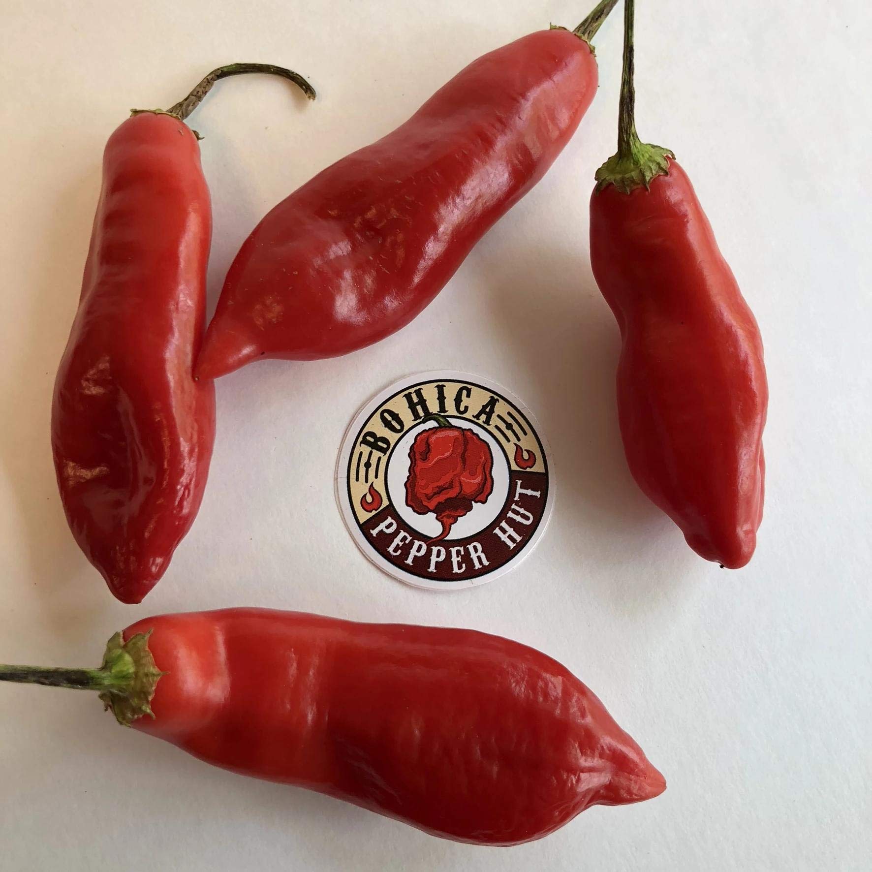 Aji Sugar Rush Red Pepper Seeds - Non-GMO, Heirloom, Hot Chili Seeds for Home Gardening, Cooking & Salsa Making