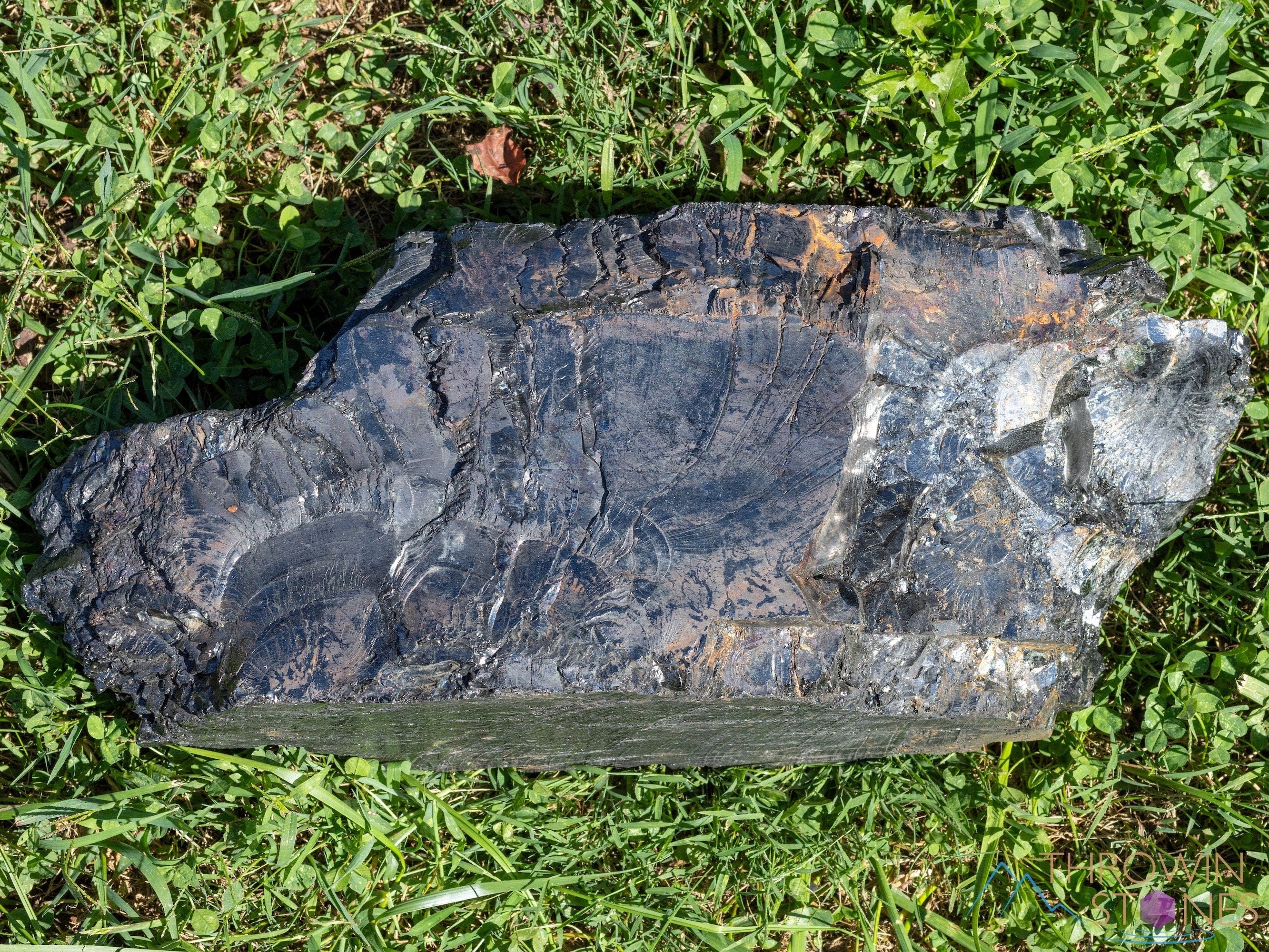 ELITE SHUNGITE Raw Crystal - Natural EMF Protection Stone, Home & Office Decor, Healing Crystals and Minerals (54428) for Meditation, Energy Cleansing & Spiritual Wellness