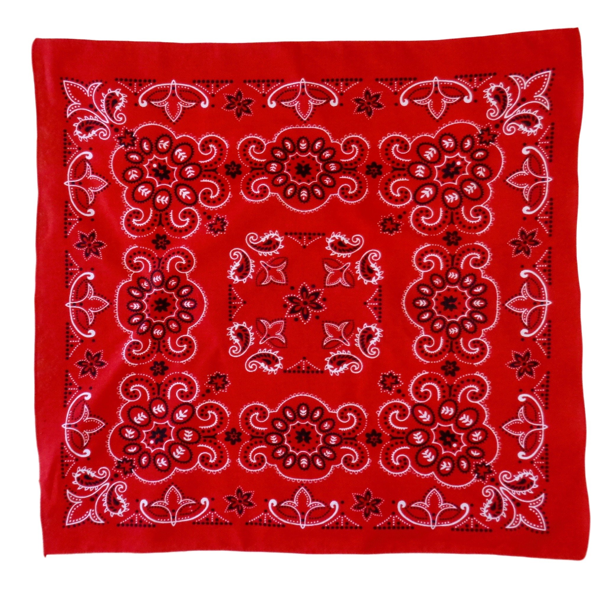 Texas Paisley Oversized 27