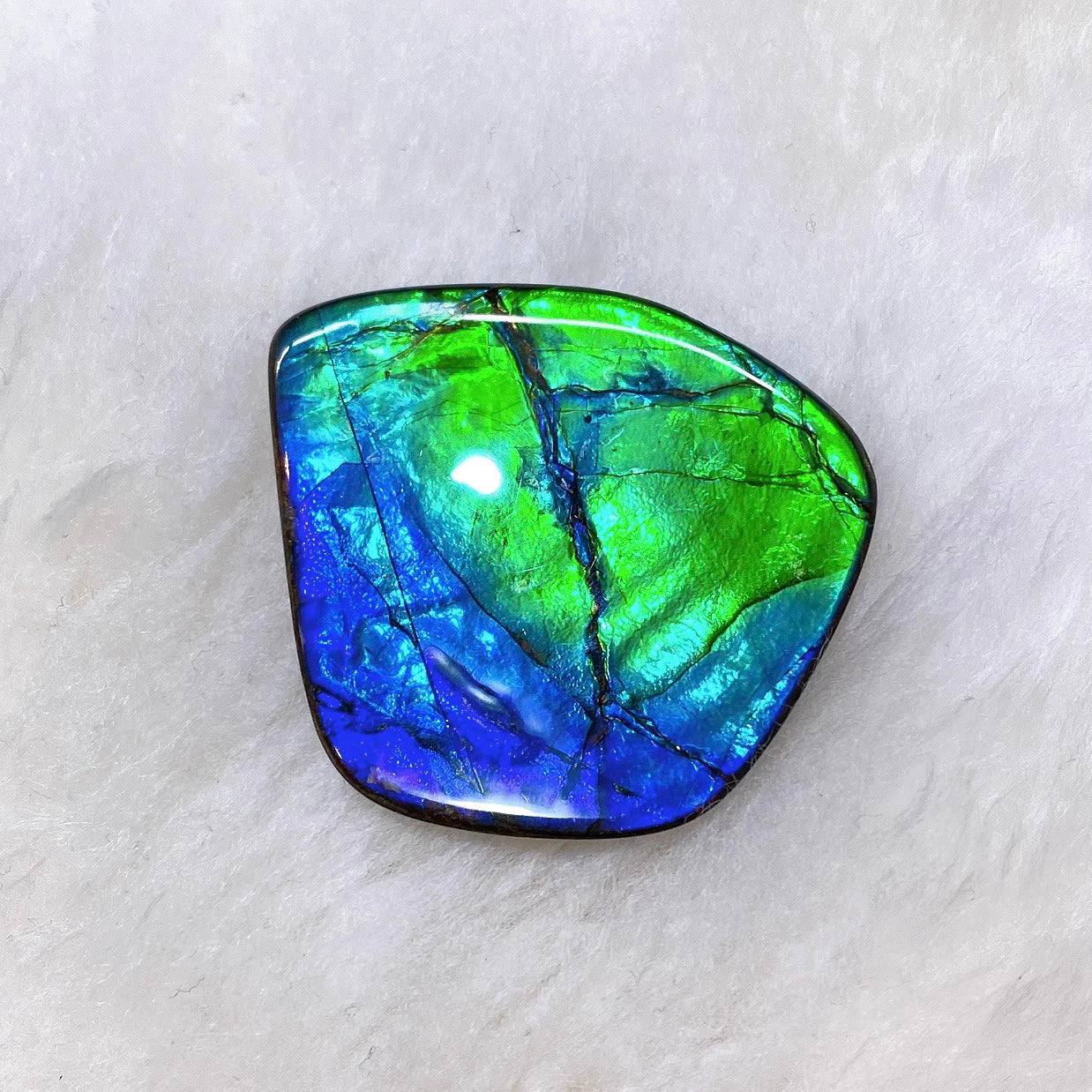 Natural Freeform Ammolite Gemstone FNA22163 - Unique Iridescent Jewelry for Collectors & Fashion Accessories | Perfect for Necklaces, Rings & Home Decor
