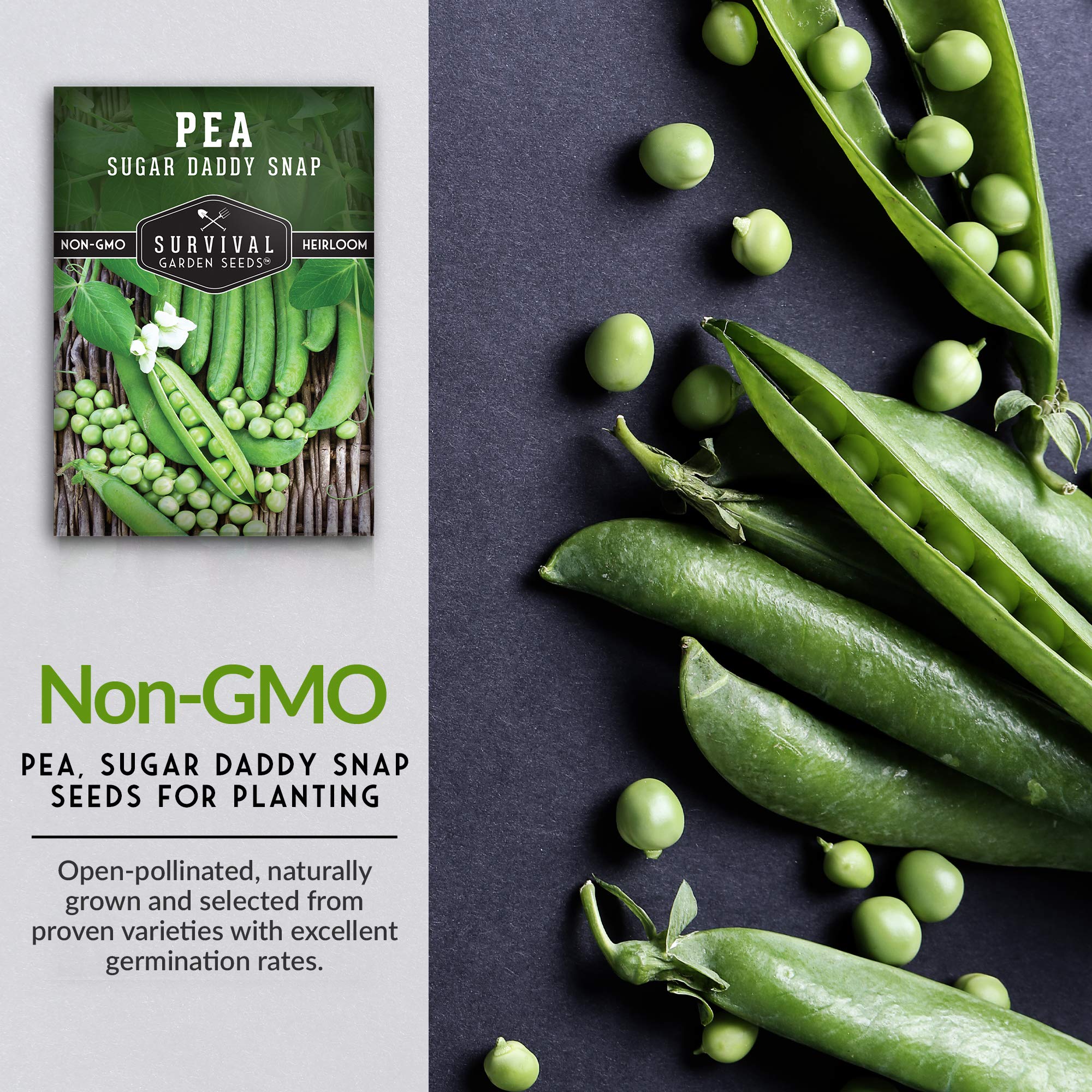 Survival Garden Seeds - Non-GMO Heirloom Sugar Daddy Snap Pea Seeds for Planting (1 Packet) - Grow Delicious Sweet Pea Pods in Home Vegetable Gardens - Perfect for Fresh Salads, Stir-fries & Healthy Snacking