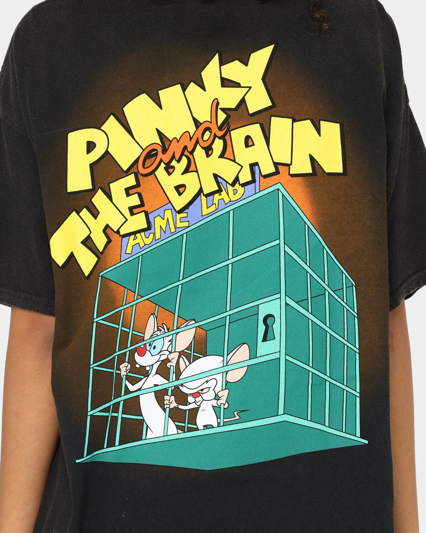 Vintage Pinky and The Brain T-Shirt - Black Wash Retro Cartoon Tee for Men & Women - Perfect for Casual Wear, Cosplay, and 90s Nostalgia Fans