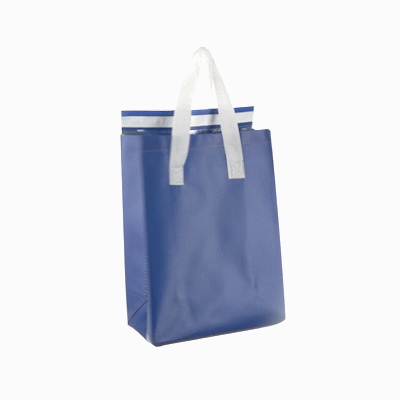 Premium Blue Insulated Takeout Bags - Tamper Evident Food Delivery Bags (8.25