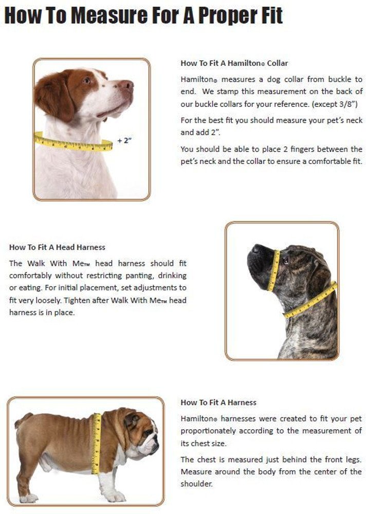 Hamilton Adjustable Step-in Dog Harness - 3/8