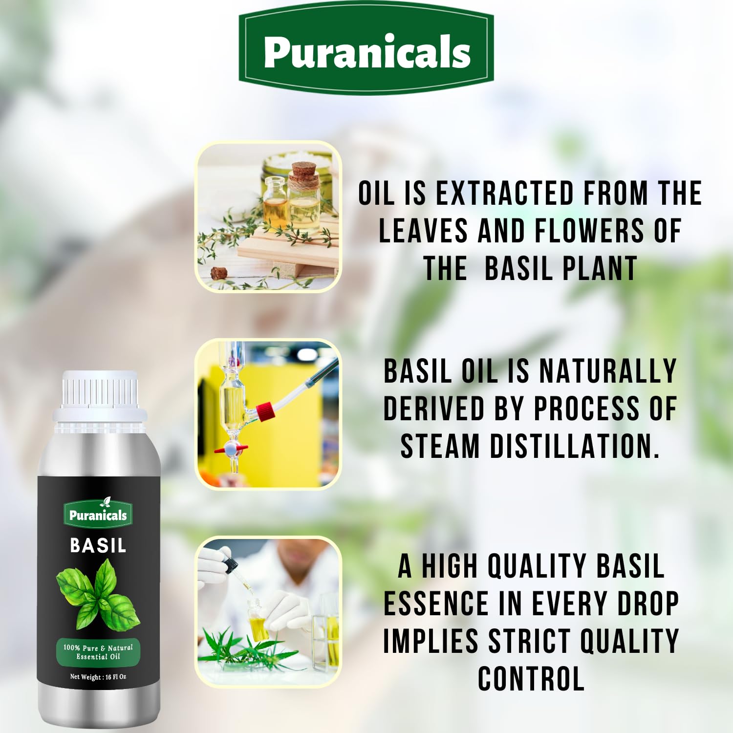Puranicals Basil Essential Oil 16oz - 100% Pure Natural Undiluted Premium Therapeutic Grade Aromatherapy Oil for Diffuser, Massage & Relaxation