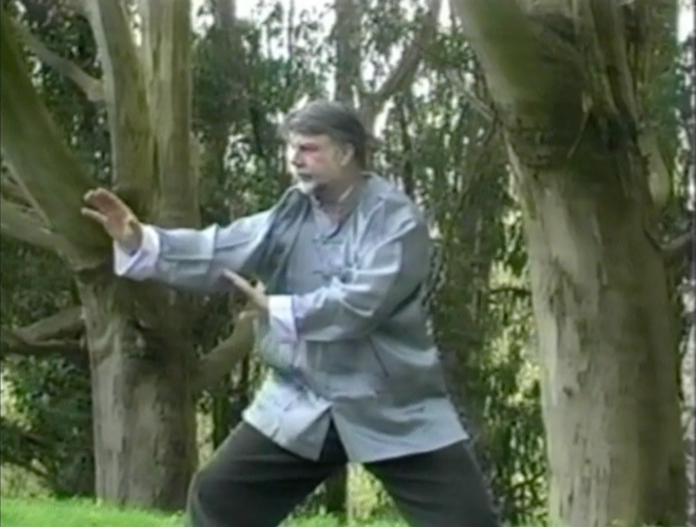 Bagua: The Art of Change DVD 2 by Ted Mancuso (Used) - Learn Ancient Chinese Martial Arts for Self-Defense & Meditation