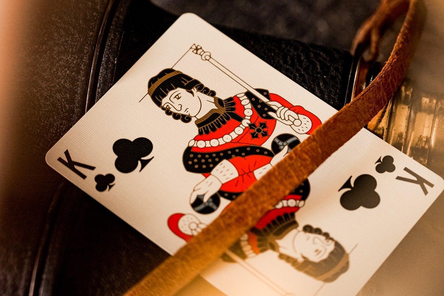 Premium Playing Cards by Theory 11 - Professional Poker & Magic Trick Card Deck for Game Nights, Casino Parties & Cardistry Performances