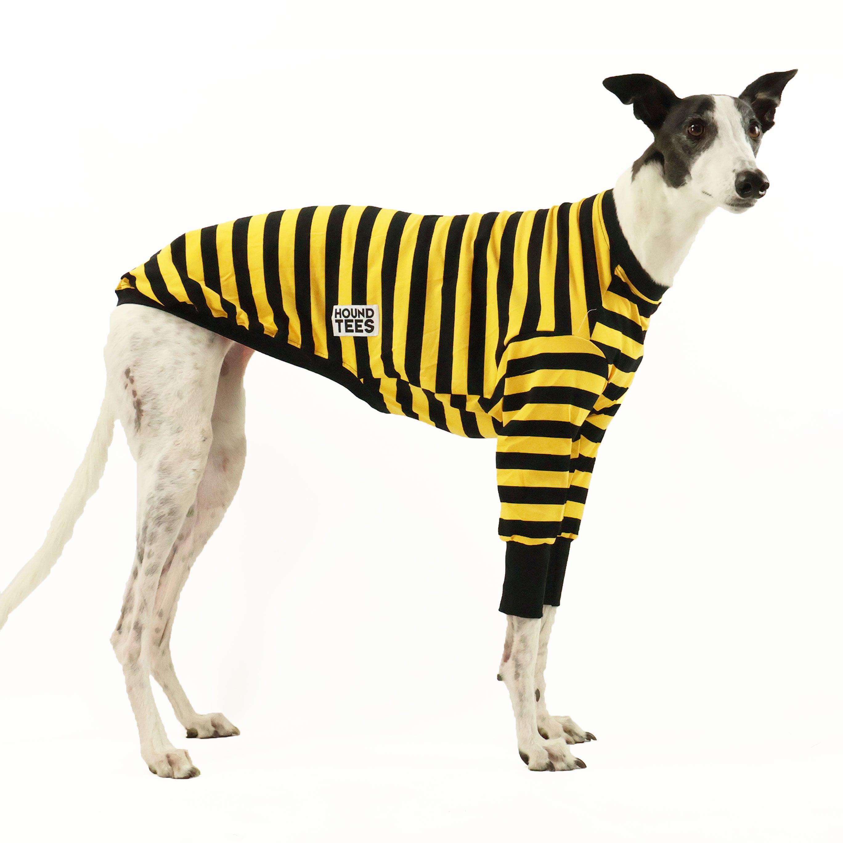 Odlaw Greyhound Long Sleeve Hound Tee - Comfortable Dog Lover Shirt for Men & Women - Perfect for Casual Wear, Dog Walks, and Pet Owner Gifts