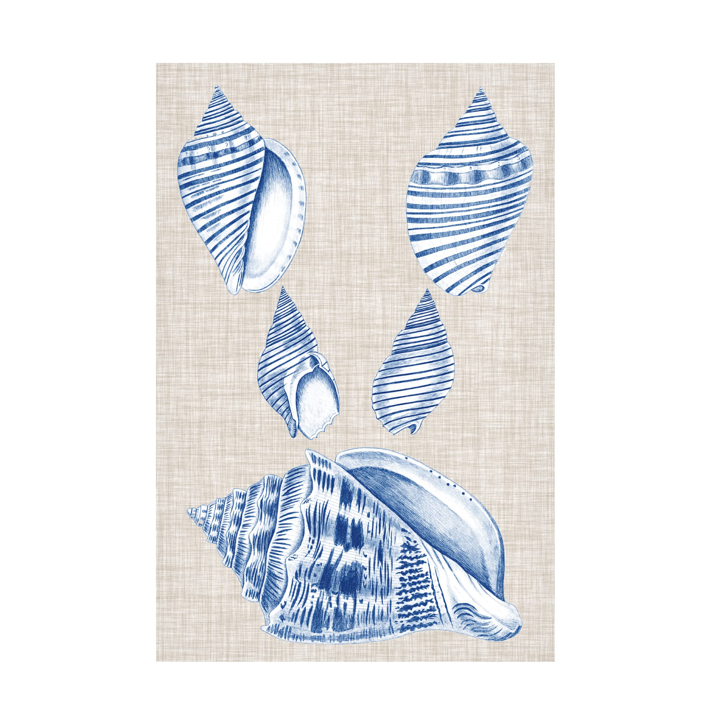 Trademark Fine Art 'Navy And Linen Shells III' Canvas Wall Art Print by Vision Studio - Coastal Beach Home Decor for Living Room, Bedroom & Office