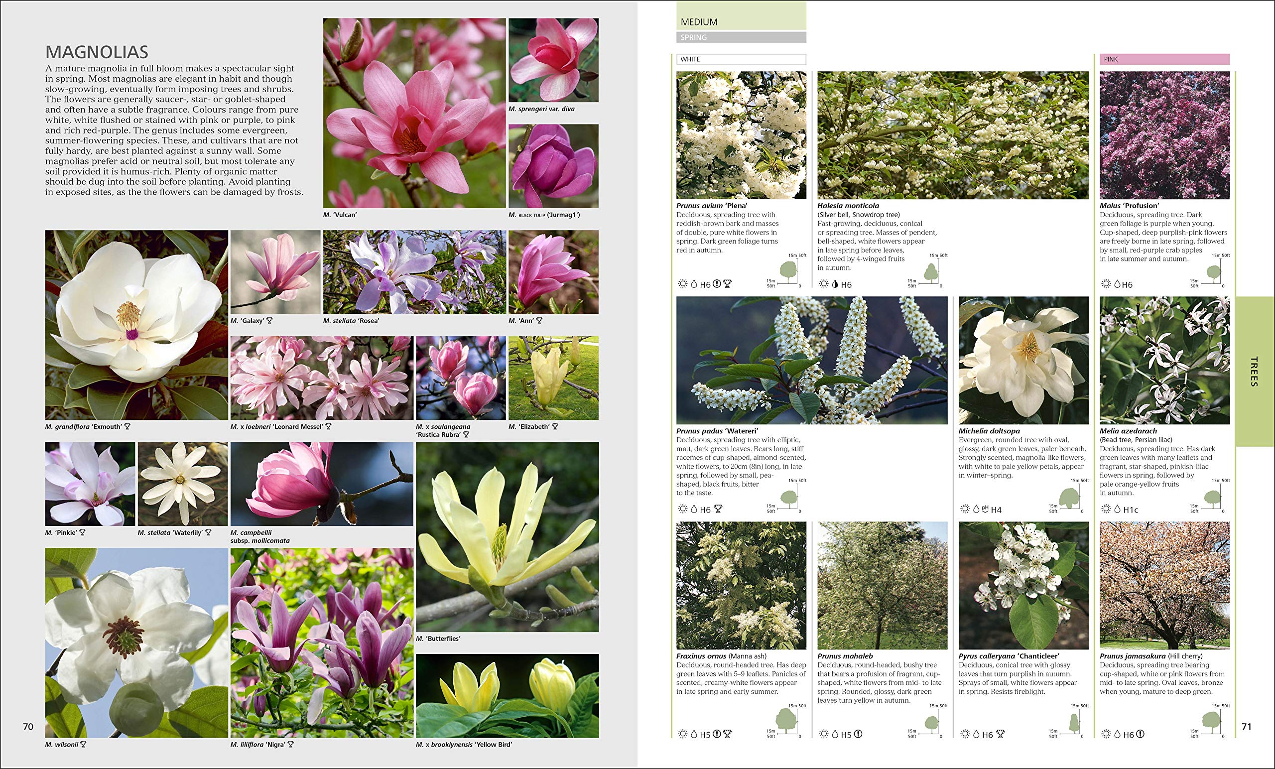 RHS Encyclopedia of Plants and Flowers - Comprehensive Gardening Guide for Home & Garden Landscaping | Perfect for Beginners & Expert Gardeners