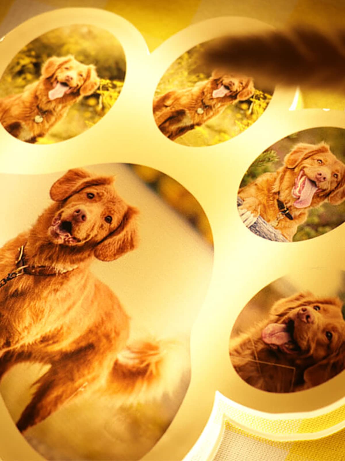 Custom Personalized Dog Paw Photo Lamp - Acrylic Night Light with Custom Image for Pet Lovers | Bedside Decor, Christmas & Birthday Gift for Dog Owners | Perfect for Bedrooms, Nurseries & Pet Memorials