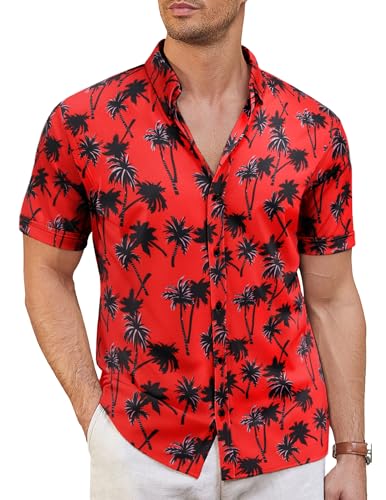 Z_coconut Tree
