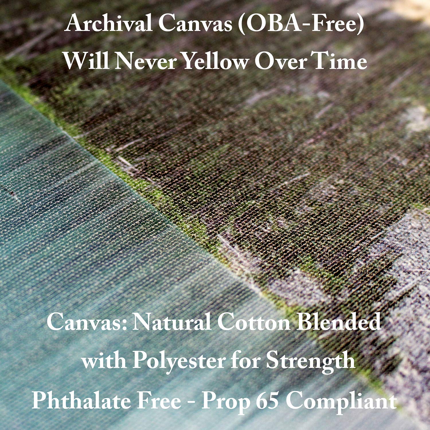 Trademark Fine Art 'So Quietly' Canvas Wall Art by CATeyes - Perfect for Living Room, Bedroom & Office Decor