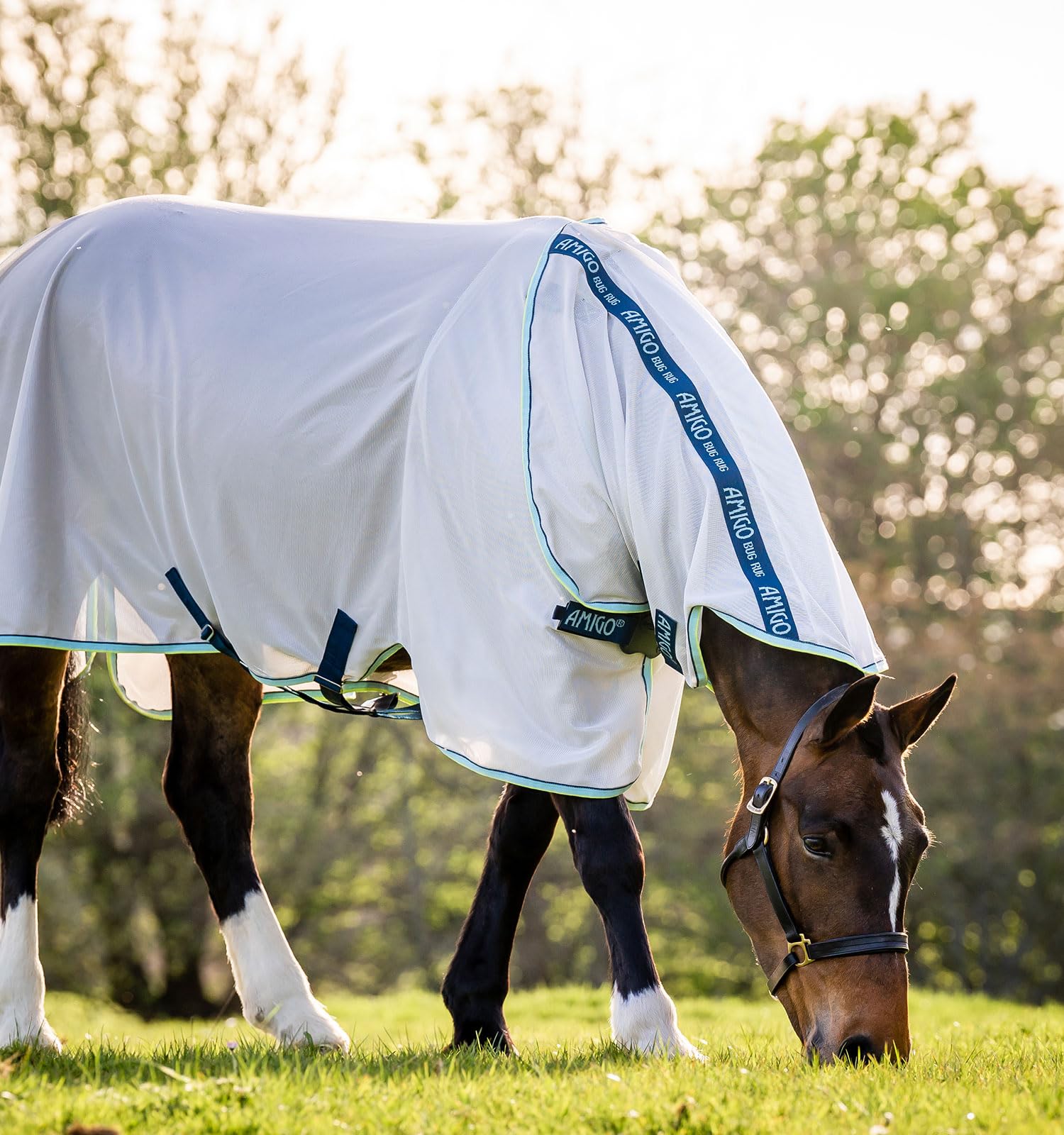 Horseware® Amigo® XL Bug Rug Fly Sheet with Disc Front Closure - Lightweight 0g Protection for Horses - Ideal for Summer Riding, Pasture, and Fly Control