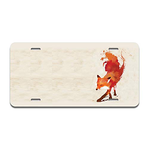 Vulpes Fox