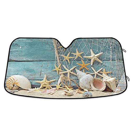 Seashell