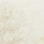 Natural White