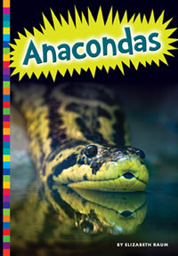 Anaconda Snake Toy - Realistic Rubber Anaconda for Kids, Halloween Decor, and Jungle Themed Parties | Perfect for Playtime, Educational Learning, and Home Decoration