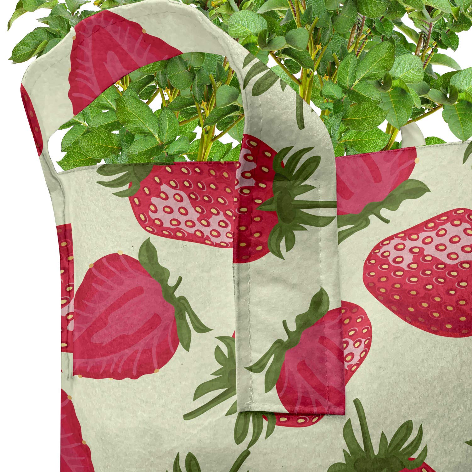 Ambesonne 5-Pack Heavy Duty Fabric Grow Bags with Handles - Strawberry Print Plant Pots for Fruits & Vegetables, Olive Green & Eggshell Red - Perfect for Indoor Gardening, Balcony Planting & Urban Farming