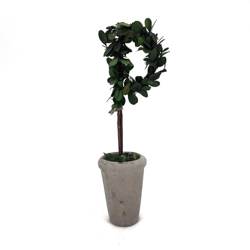 Forest Green D