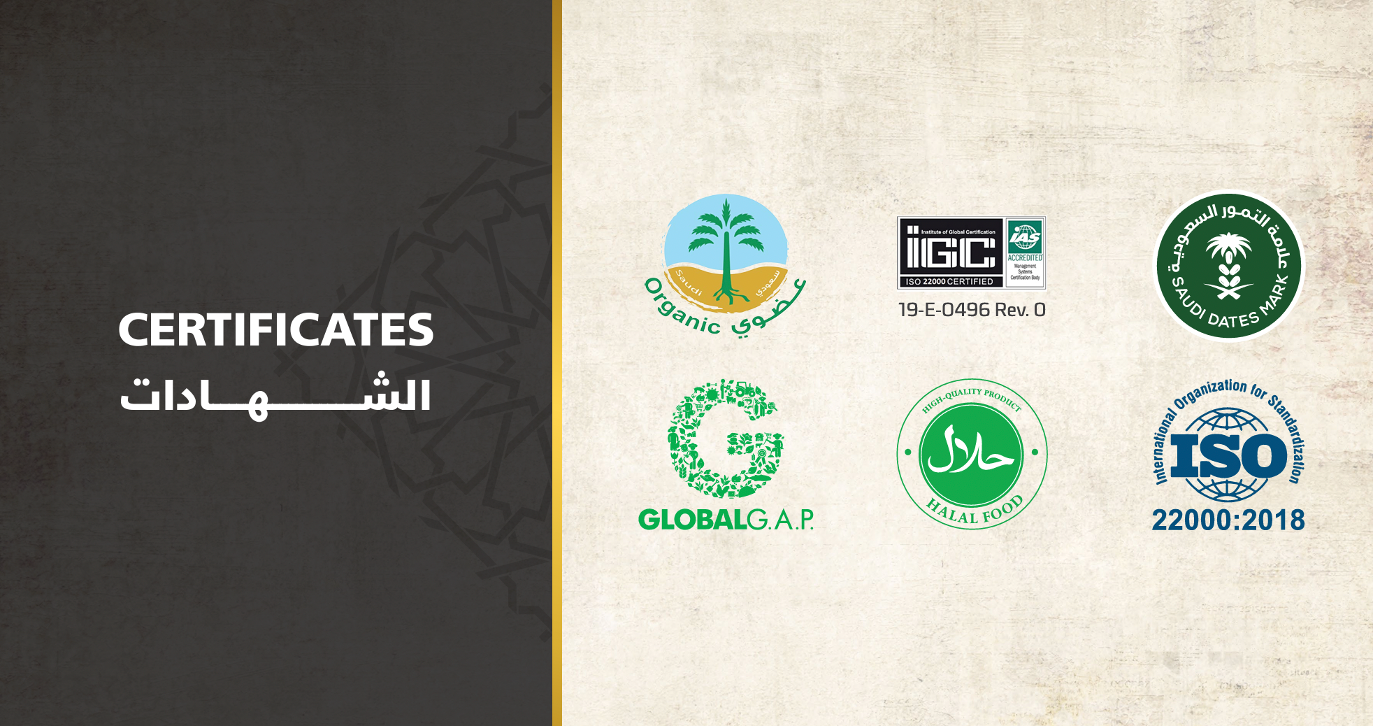Premium Ajwa Almadina Dates 1000g - Organic Medjool Dates from Saudi Arabia - Natural Energy Snack for Ramadan, Healthy Breakfast & Gift Box