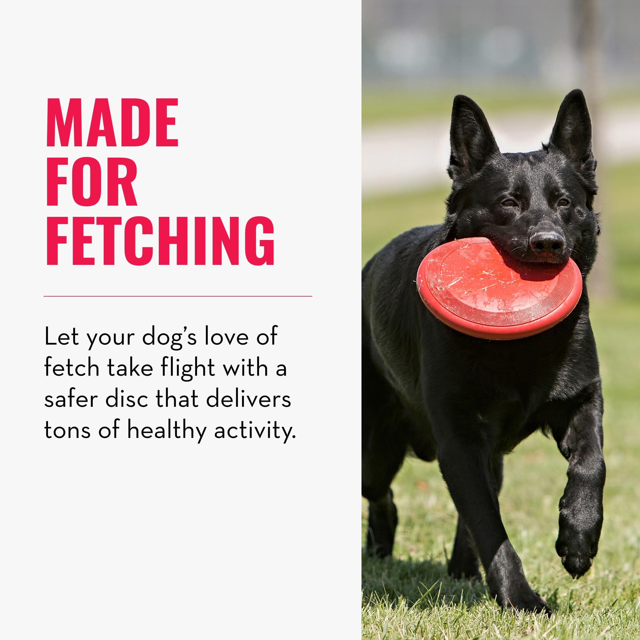 Durable KONG Flyer Natural Rubber Flying Disc Dog Toy - Safe Fetch & Outdoor Play for Small Dogs - Perfect for Park, Beach & Backyard Fun