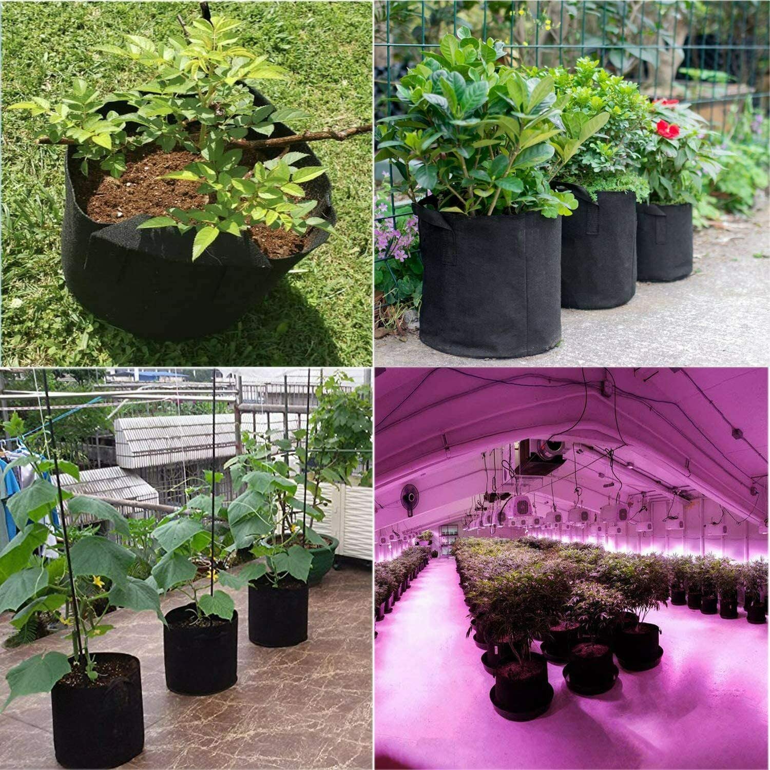 10-Pack 5 Gallon Heavy Duty Thickened Nonwoven Fabric Grow Bags with Handles - Durable Plant Containers for Vegetables, Flowers & Herbs Indoor/Outdoor Gardening