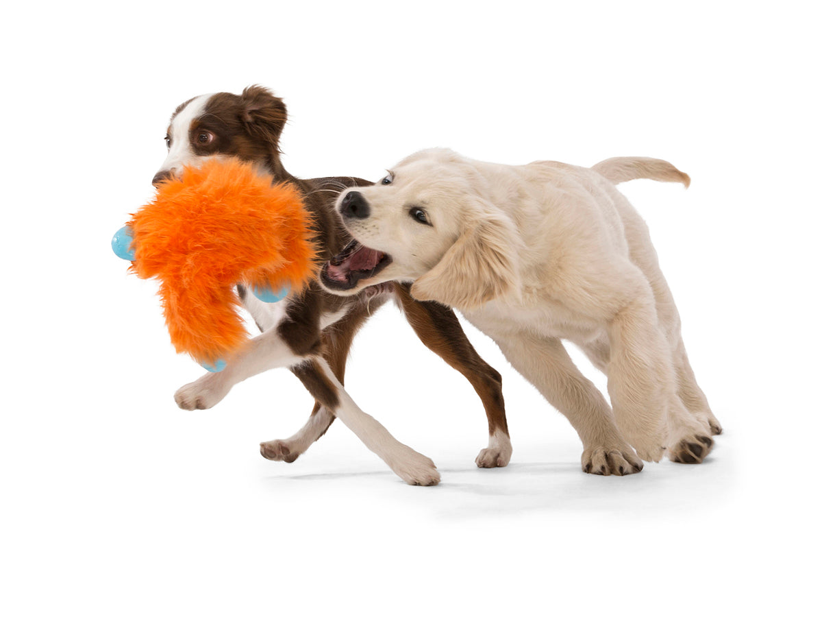 West Paw Design Jefferson Dog Toy - Durable Chew Toy for Aggressive Chewers, Interactive Play for Large & Small Dogs - Perfect for Indoor & Outdoor Fetch, Training, and Playtime