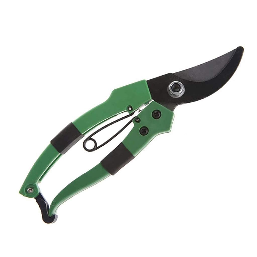 Premium Garden Scissors - Professional Grafting Tool & Fruit Tree Pruning Shears for Bonsai, Gardening, and Landscaping | Ideal for Home Gardens, Orchards, and DIY Plant Care