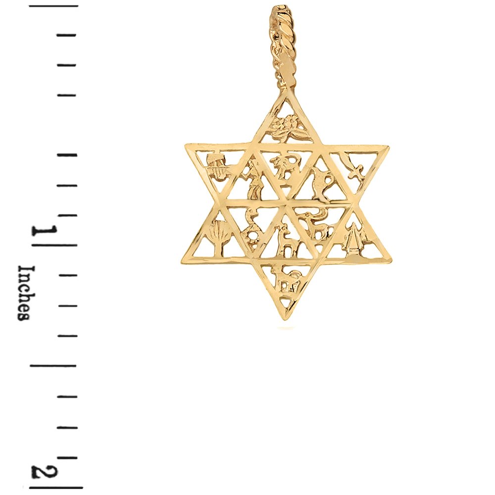 12 Tribes of Israel Jewish Star of David Pendant Necklace - Sterling Silver Judaica Jewelry for Hanukkah Gifts & Bar Mitzvah Celebrations
