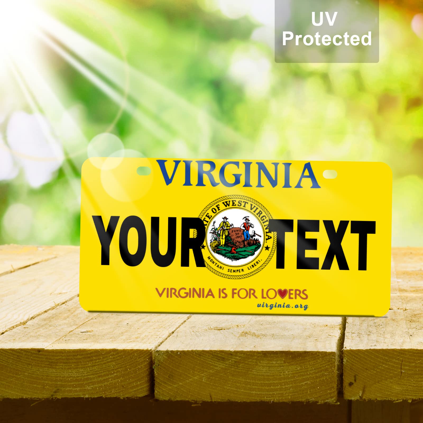 Custom Virginia Mini License Plate 6x3 Inch - Personalized Kids Toy Car, Bicycle, Scooter, Golf Cart, Motorcycle & ATV Accessory - Perfect for Gifts, Room Decor & Vehicle Customization