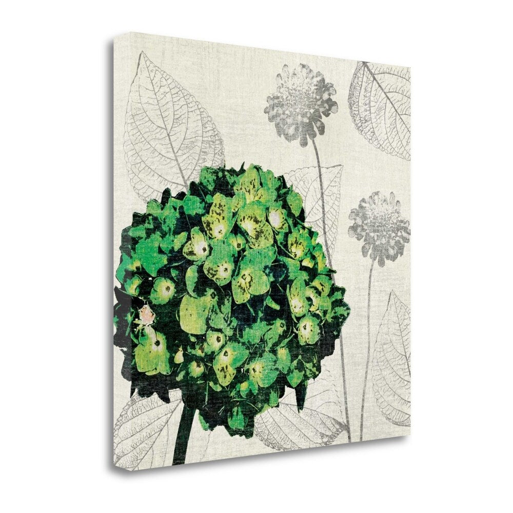 A Touch Of Color IV By Tandi Venter - Premium Fine Art Giclee Print on Gallery Wrap Canvas, Ready to Hang Wall Decor for Living Room, Bedroom & Office